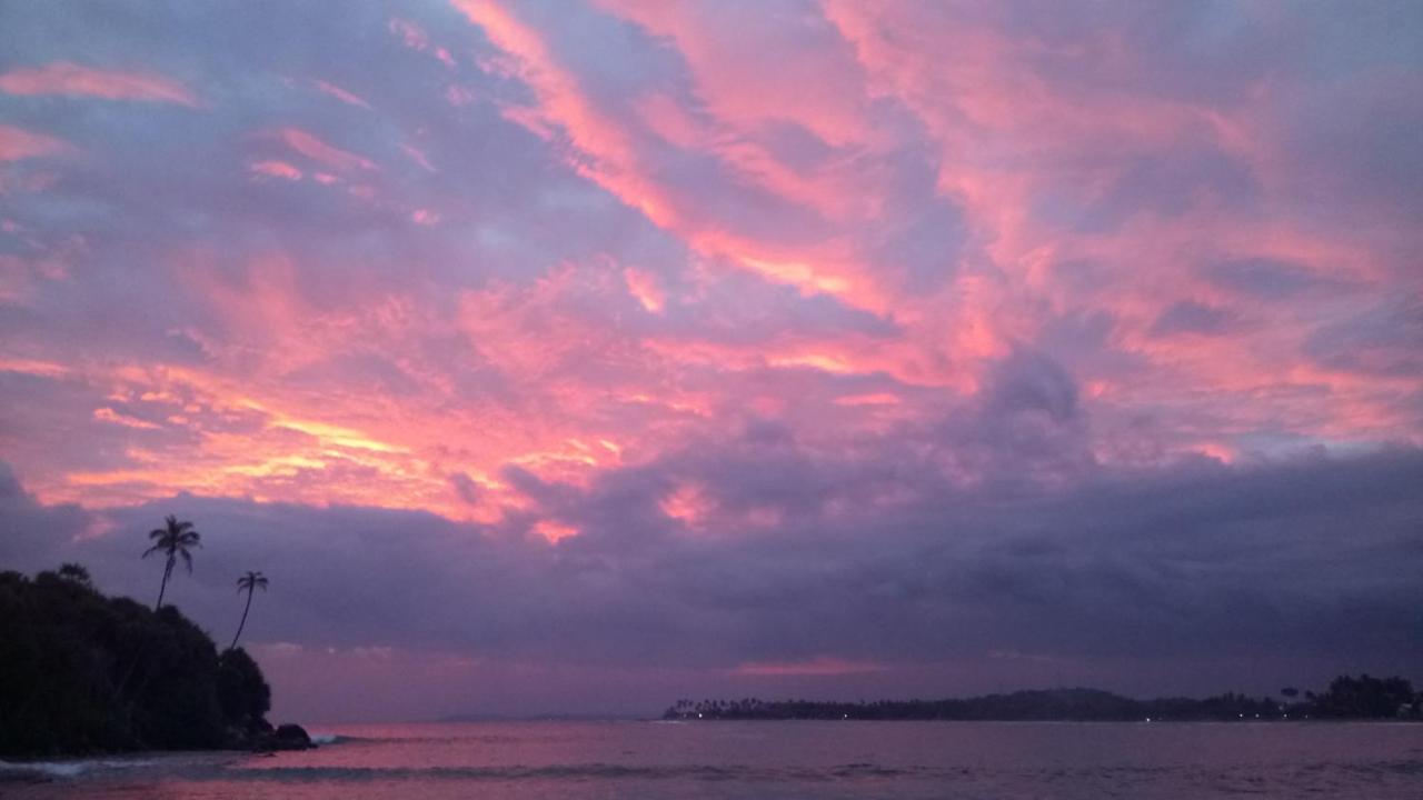 Mutu Villa Dikwella Exteriér fotografie